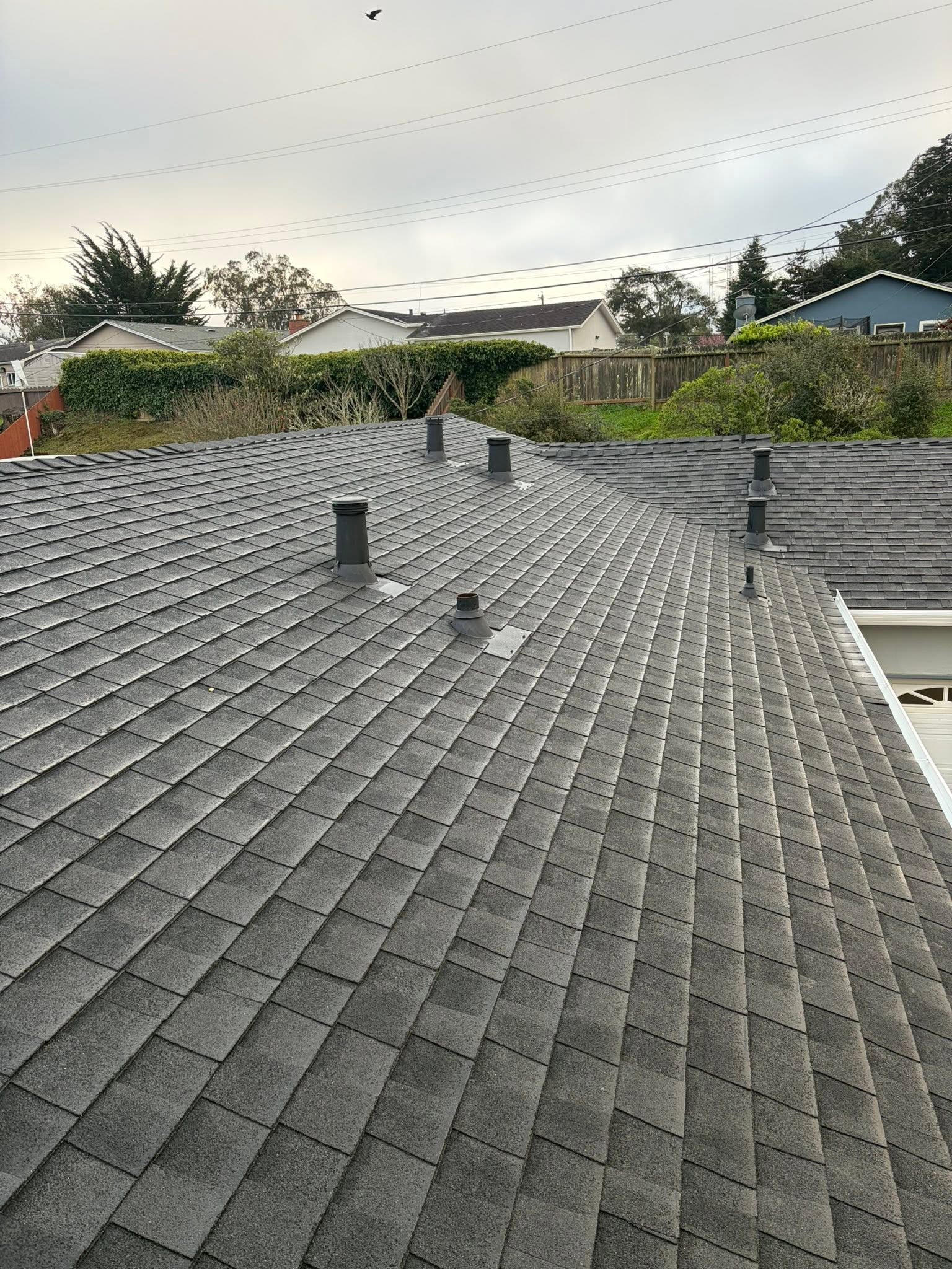 Project Image 9